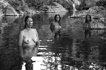 Il femminile